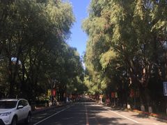 -吉林大学(前卫南区)