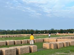 -汉长安城未央宫国家考古遗址公园