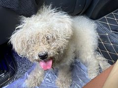 -酷宠动物医院(天通西苑店)