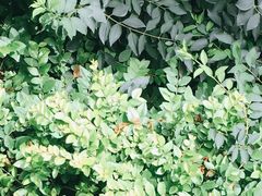 -大碗居·烤鸭·鱼头泡饼(天坛东门店)