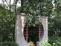 -广州市流溪河国家森林公园