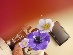 -家富富侨足道会馆(望京店)