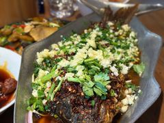 香辣炝锅鱼-树厨贵州菜(大十字店)