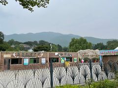 -北京西山国家森林公园