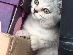 -星巴克(蔡伦路店)