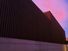 -海口绿发希尔顿酒店-田园汇自助餐·三文鱼·海鲜