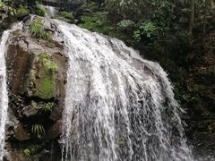 -藏龙百瀑风景区