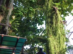 -自然餐厅(Phuket)