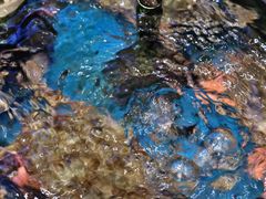 -小铜锣湾海鲜家常菜馆(河西店)