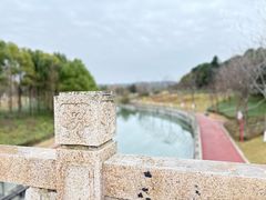 -眉山湿地公园(东坡区)