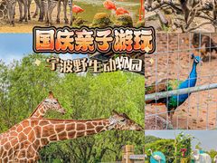 -宁波野生动物园