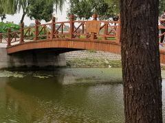 -白洋淀景区