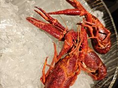 精品酒醉龙虾-红盔甲·小龙虾(人民广场店)