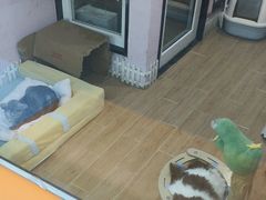 -联合动物医院(光谷诊疗中心)