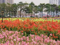 -海心沙亚运公园