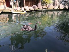 -湖鲜楼