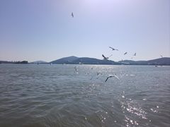 -无锡蠡湖国家湿地公园-蠡园