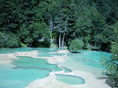 -黄龙山原始森林景区