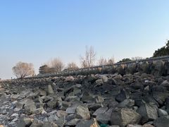 -上海滨江森林公园