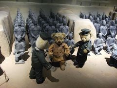 -成都泰迪熊博物馆