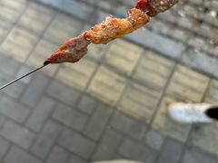 -老白清真烧烤(锦州旗舰店)