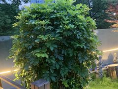 -树厨贵州菜(铜仁花果山店)