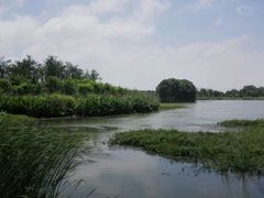 -梁鸿国家湿地公园