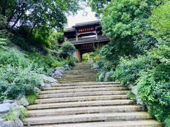 -中国茶叶博物馆(双峰馆区)