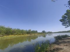 -东郊湿地公园