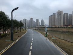 -洋湖国家湿地公园