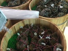 -盒马鲜生(大成店)