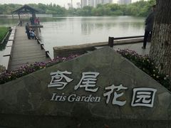 -圩墩遗址公园