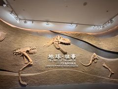 -柳州白莲洞洞穴科学博物馆