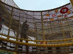 -中国福利会少年宫