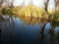 iphone_upload_pic-西昌邛海湿地