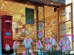 -猫的天空之城概念书店(大学路店)