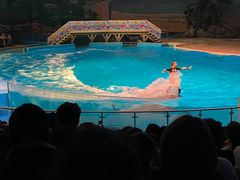 -海合安武汉极地海洋公园