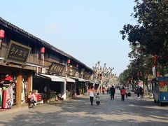 -溪口-滕头旅游景区