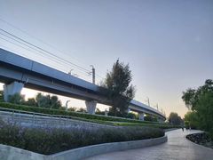 -宝安西湾红树林湿地公园