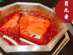 -蜀九香火锅(玉林店)