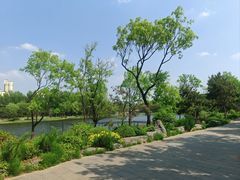 -熙古里艺术村