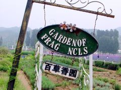 -紫海香堤香草艺术庄园