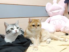 -天空之镜眼镜店蔡司依视路授权店(天通苑店)