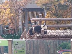 -大连森林动物园