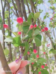 -沫儿·美甲美睫·半永久·皮肤管理