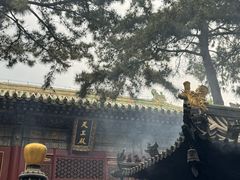 -潭柘寺景区