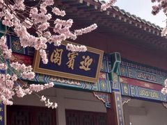 -桃花堤公园