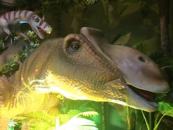 点击看大图 -恐龙探索乐园(磁器口店)