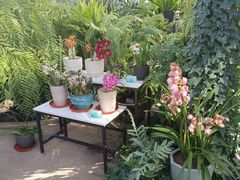 -国家植物园南园