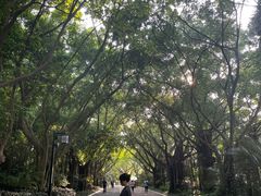 -南宁南湖公园